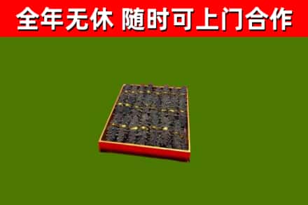 汉阳回收海参